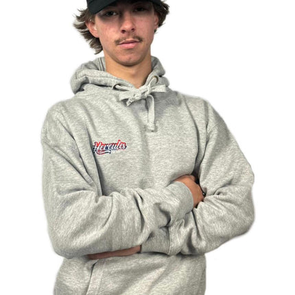 New Kids Hercules Homeland Hoodie