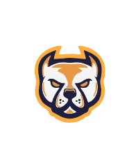 Collection image for: Bristol Underdogs