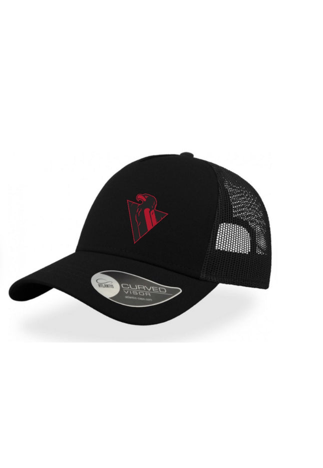 Hamilton Hawks Hat